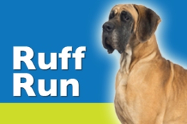 Ruff Run