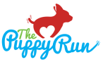 puppy_run_color-640x387